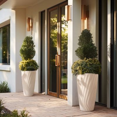 Tall Planters Front Door Elevate Your Entryway with Stylish Tall Planters