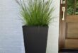 Tall Planters Front Door