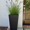 Tall Planters Front Door