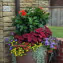 Tall Planters Front Door