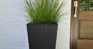 Tall Planters Front Door