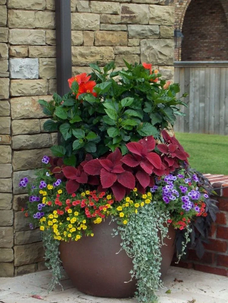 Tall Planters Front Door Enhance Your Entryway with Stylish and Functional Planters for a Grand Welcome