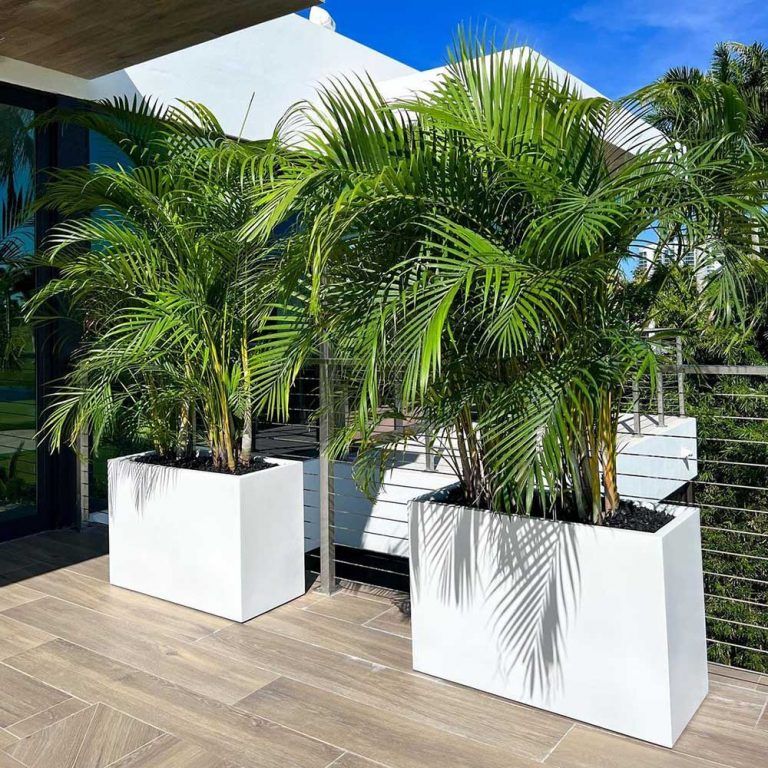 Tall Planters Front Door Enhance Your Home’s Curb Appeal with Stylish Tall Planter Options