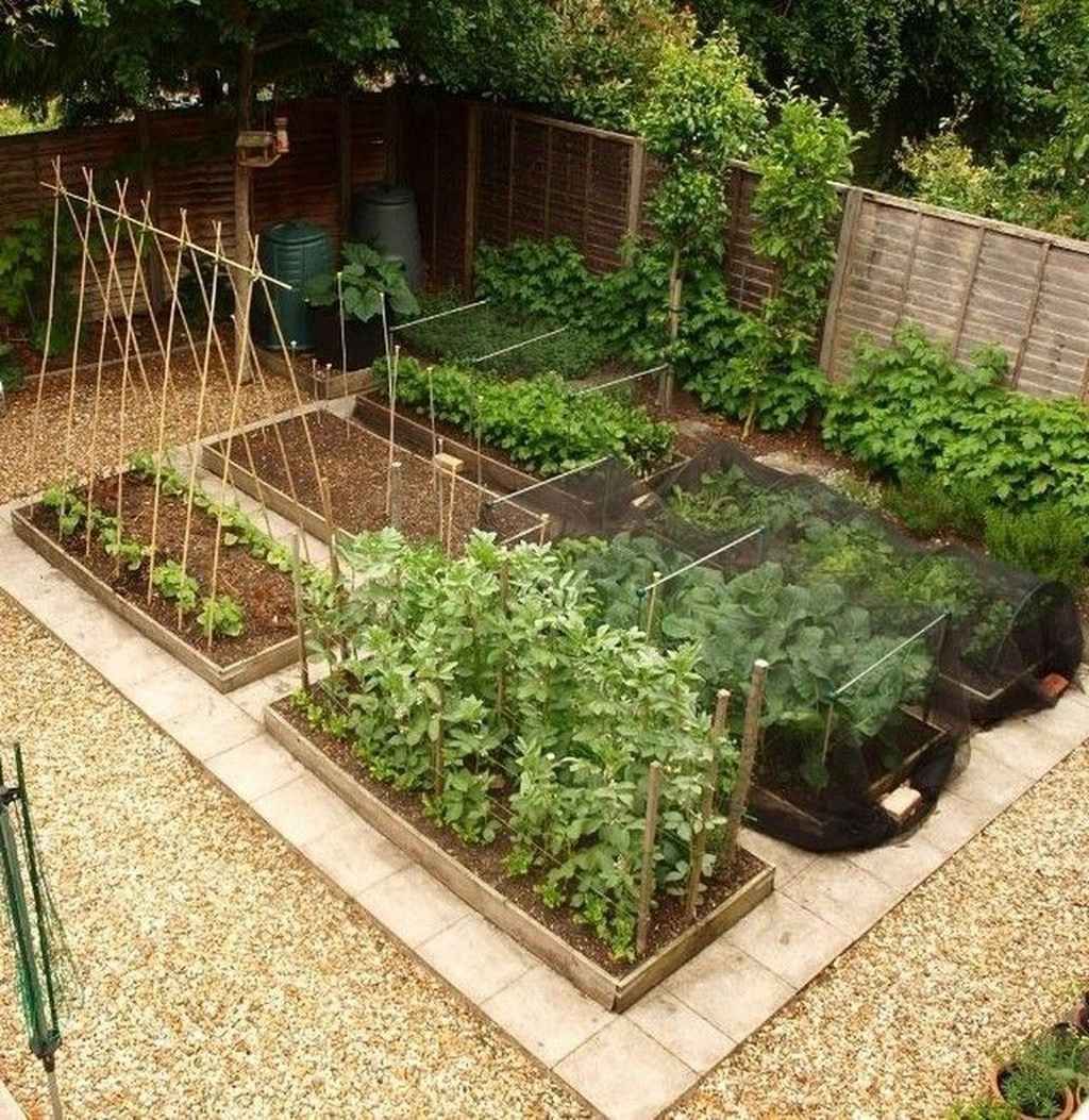 Vegetable Garden Design “5 Tips for Creating a Beautiful and Functional Vegetable Garden Design”