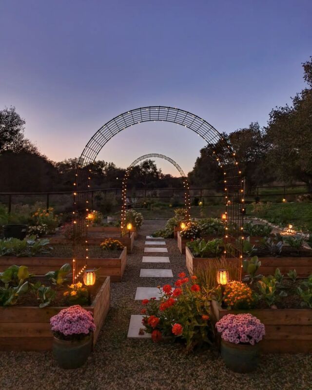 Vegetable Garden Design Creative Ways to Arrange Your Homegrown Vegetables