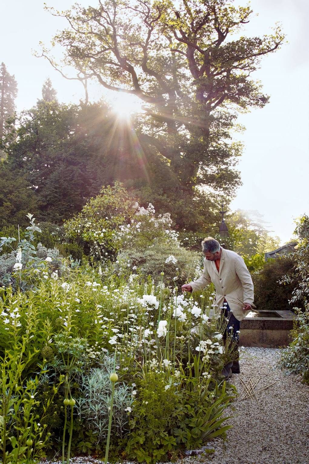 Vegetable Garden Design Modern and Creative Ways to Plan Your Homegrown Vegetables