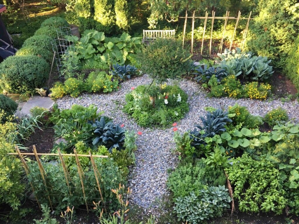 Vegetable Garden Design