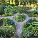 Vegetable Garden Design