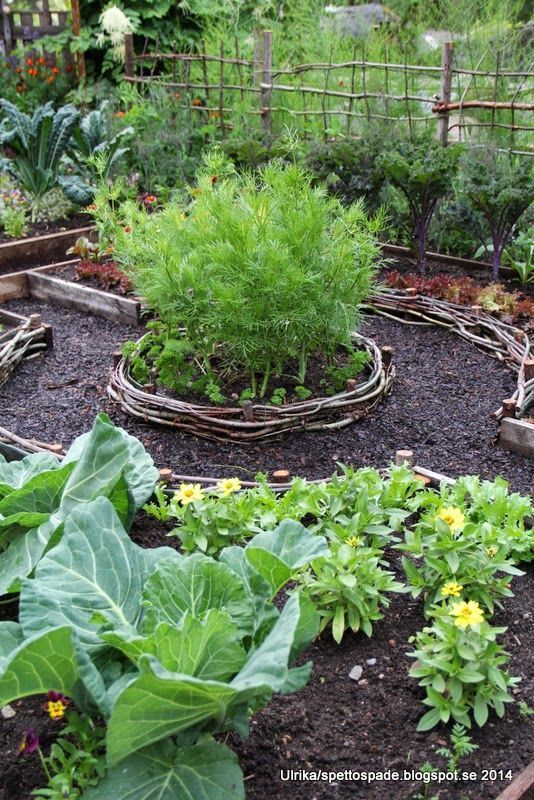 Vegetable Garden