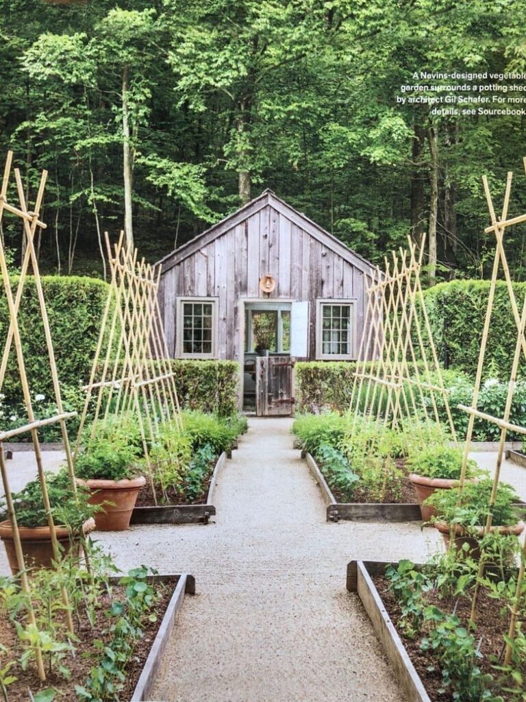 Vegetable Garden