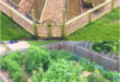 Vegetable Garden