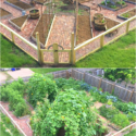 Vegetable Garden