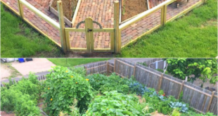 Vegetable Garden