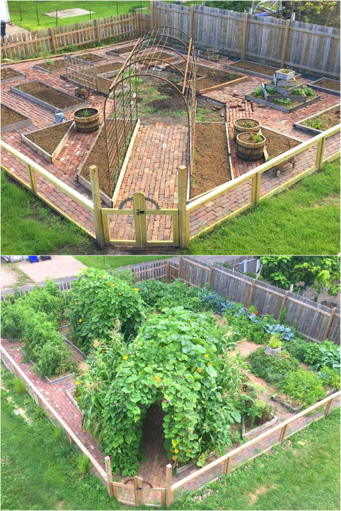 Vegetable Garden