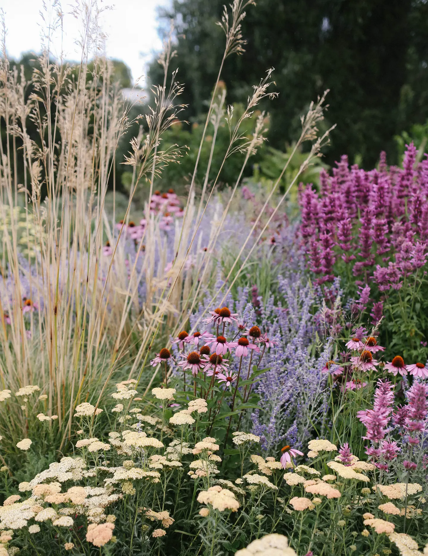 Wildflower Garden The Benefits Of Creating A Wildflower Garden