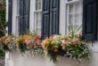 Window Box Flowers