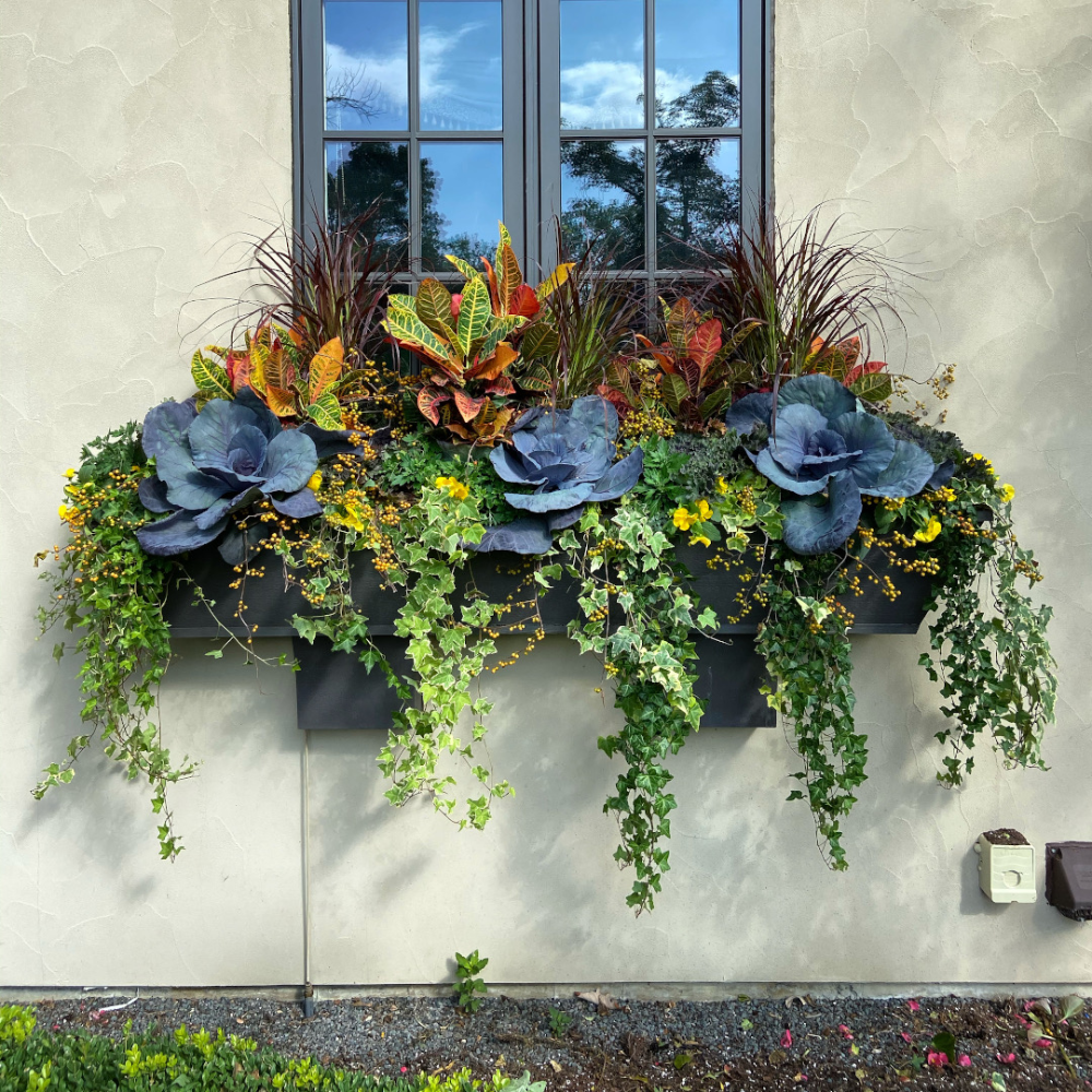 Window Box Flowers