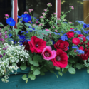 Window Box Flowers