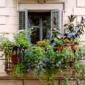 balcony flowers