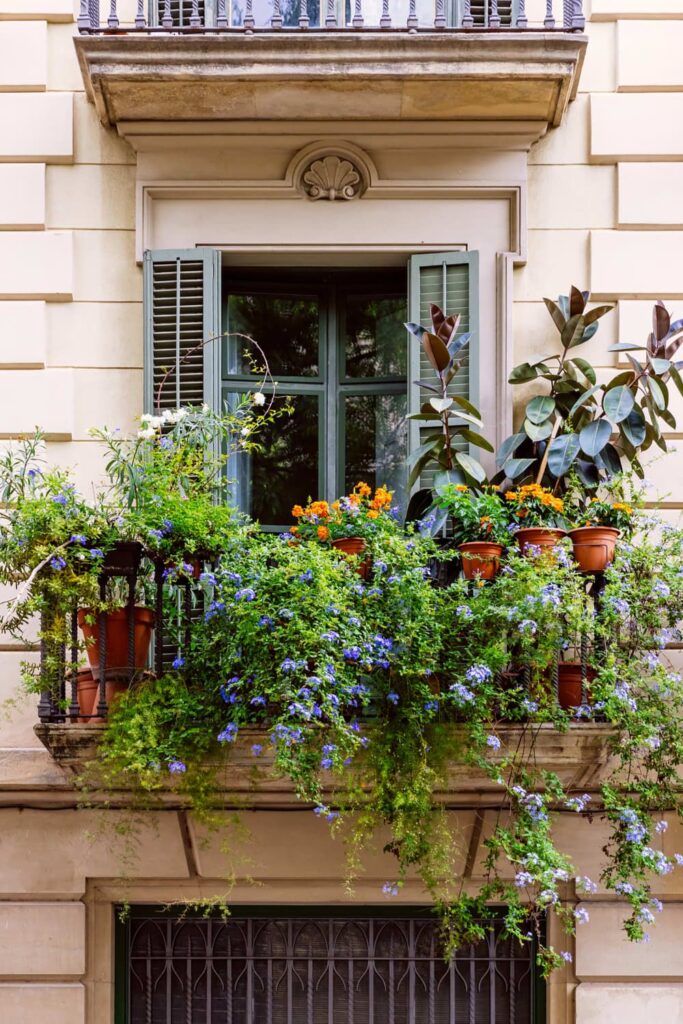 balcony flowers