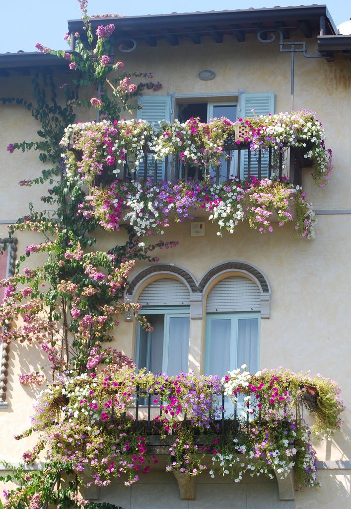 balcony flowers