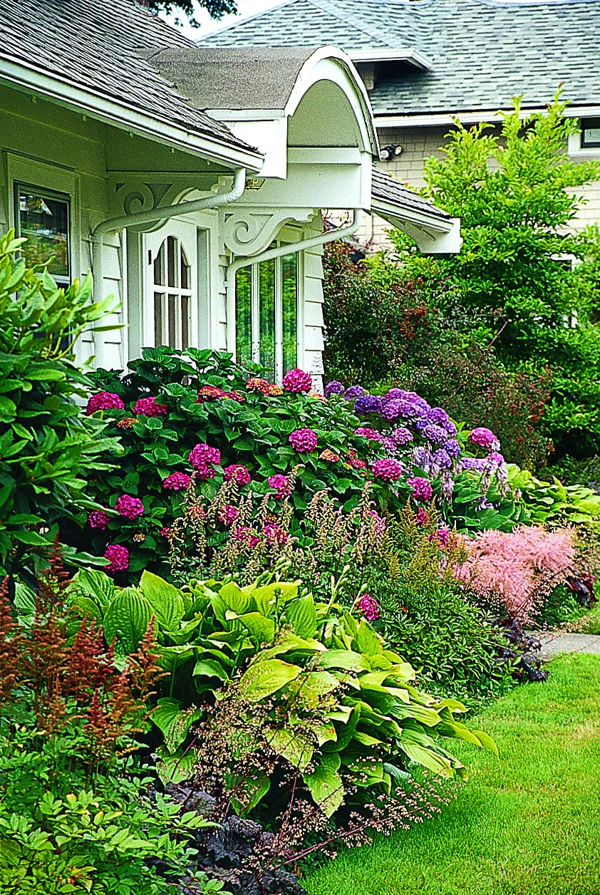 Foundation Planting Tips for a Beautiful Landscape