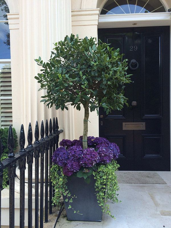 Front Door Planters: How to Create a Warm Welcome with Greenery