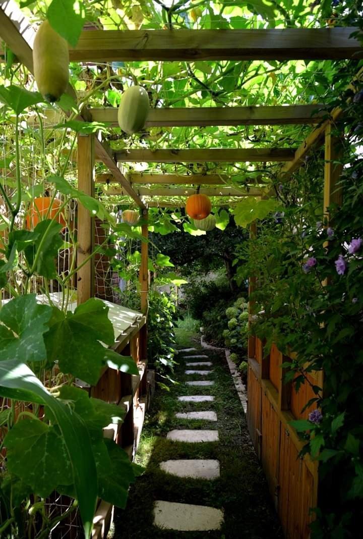 Backyard Garden Transform Your Outdoor Space into a Lush Oasis with These Creative Garden Ideas