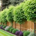 simple backyard landscaping along fence