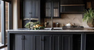 Kitchen design with dark cabinets: Enhancing Elegance and Sophistication