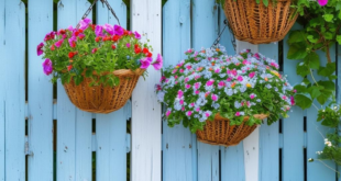 white and blue wood garden fence with colorful hanging baskets and flowers