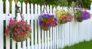 white and wood garden fence with colorful hanging baskets