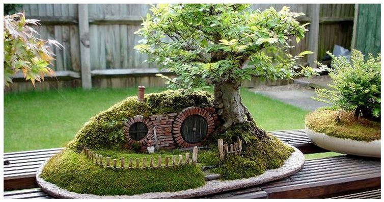 Beautiful Fairy Garden Ideas 2