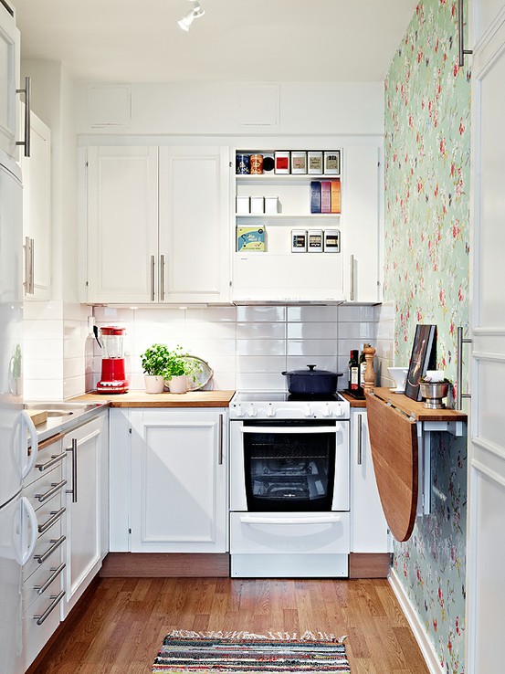 Tiny Kitchen Design Ideas 3